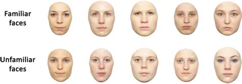 The Familiar Man: Investigating the Significance of Recognizing Faces in Dreams