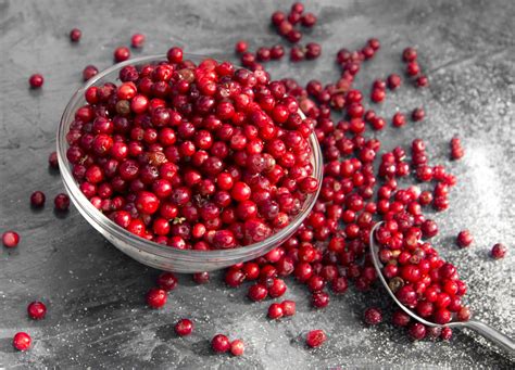 The Fascinating History of the Scarlet Cranberry Fruit