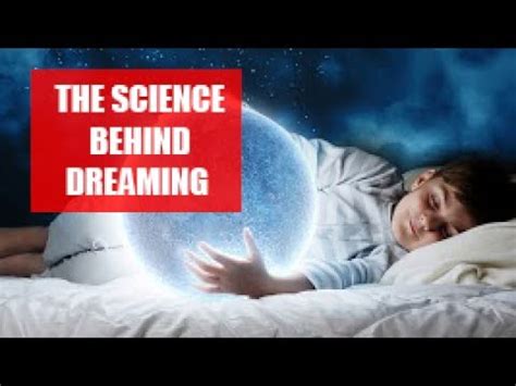 The Fascinating Science Behind Dreaming