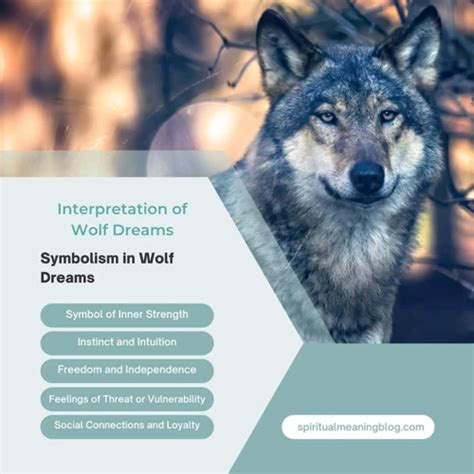 The Fascinating Symbolism Behind a Majestic Wolf Dream