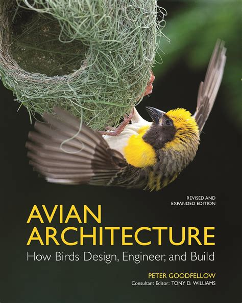 The Fascinating World of Avian Architecture