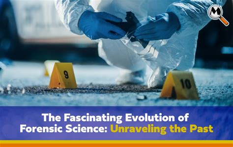 The Fascinating World of Forensic Law: Unraveling the Enigmatic