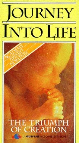 The Fascinating World of the Unborn