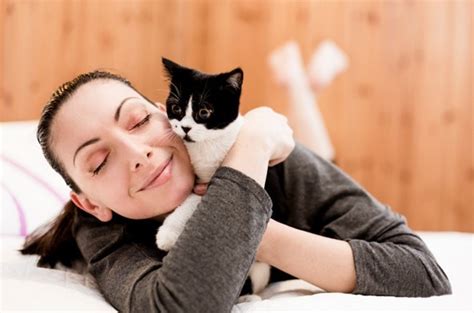 The Feminine Energy: The Connection between Women and Felines in Dreams