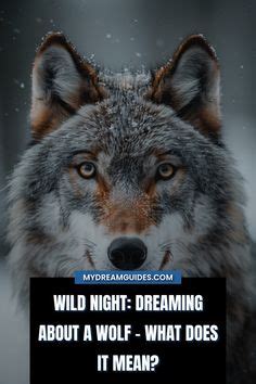 The Feminine Essence Embodied in Dreaming of a Guardian Wolf