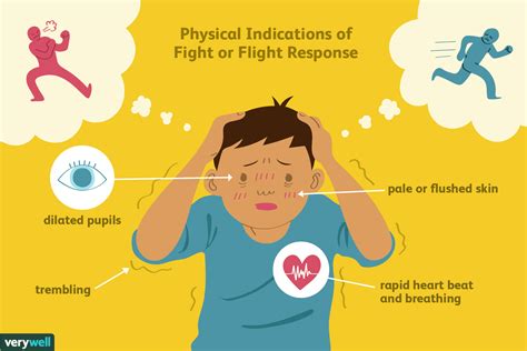 The Fight or Flight Response: The Woman's Reaction to the Arachnid