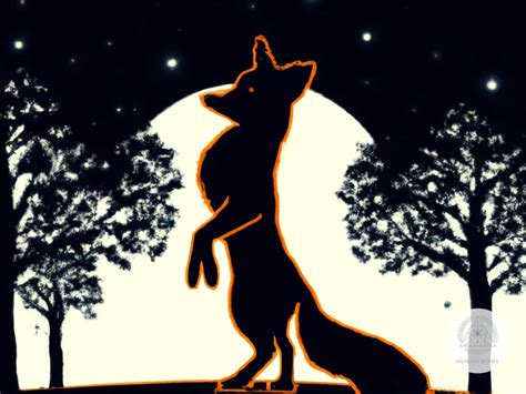 The Fox as a Dream Symbol: Insights for Self-Reflection