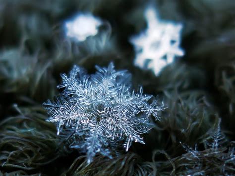 The Fragile Beauty of Snowflakes and Their Delicate Journey