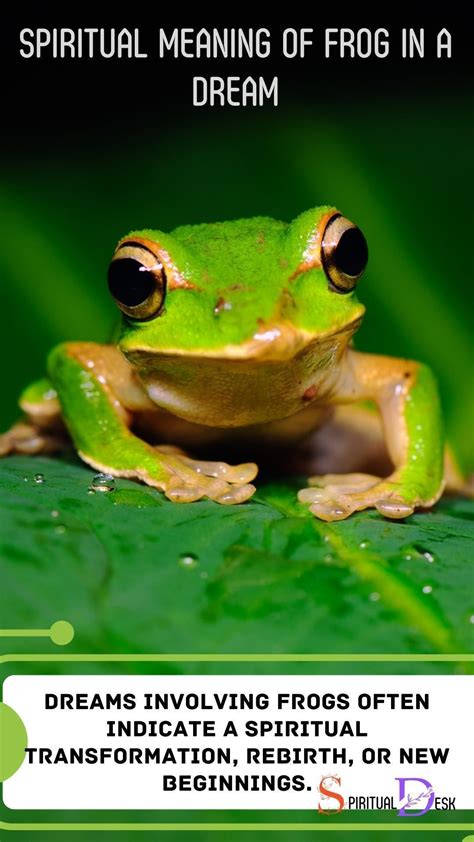 The Frog: Symbolizing Metamorphosis and Rebirth in Islamic Beliefs