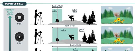 The Fundamentals of the Depth Effect