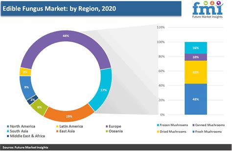 The Fungi Market: An Insight