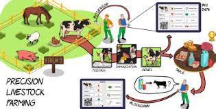 The Future of Agriculture: Embracing Technological Advancements in Livestock Farming+