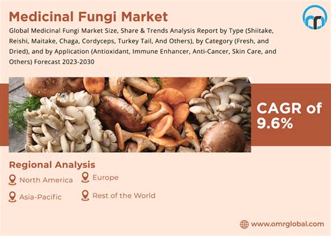 The Future of Envisioned Fungi: Market Forecasts