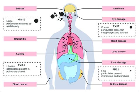 The Health Risks Associated with Airborne Particulate Pollution