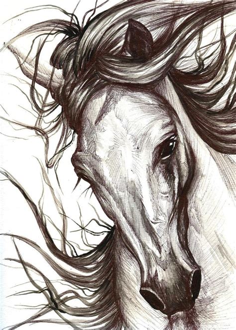 The Hidden Message Behind Envisioning Abstract Equine Sketches