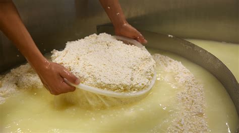 The History and Origins of Curds and Whey