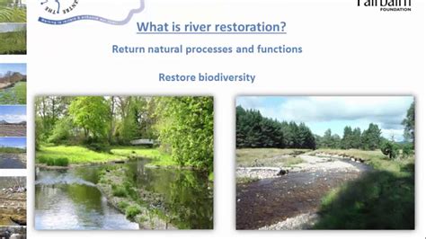 The Hope for the Future: Celebrating Success Stories in Restoring Rivers