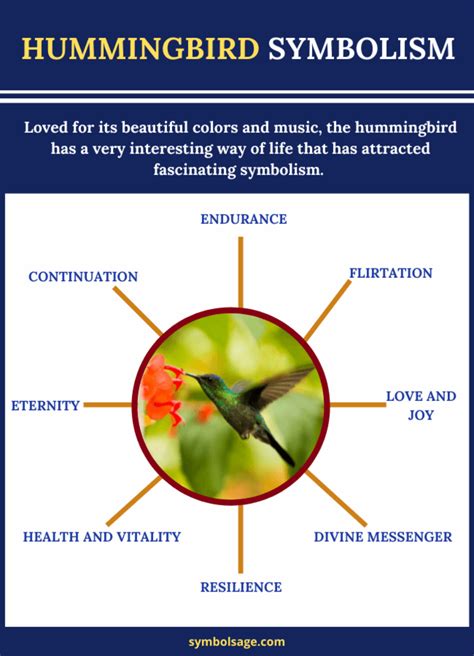 The Hummingbird: A Representation of Delight and Lightheartedness