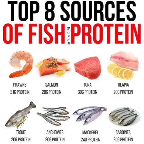 The Ideal Source of Protein: Balik Fish