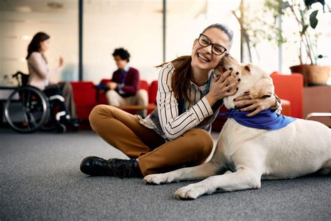 The Impact of Animal-Assisted Therapy