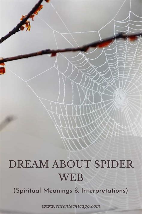 The Impact of Cultural Beliefs on Interpretations of Dreaming about a Hairy Spider