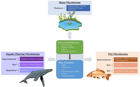 The Impact of Environmental Factors on Fish's Upward Splash.