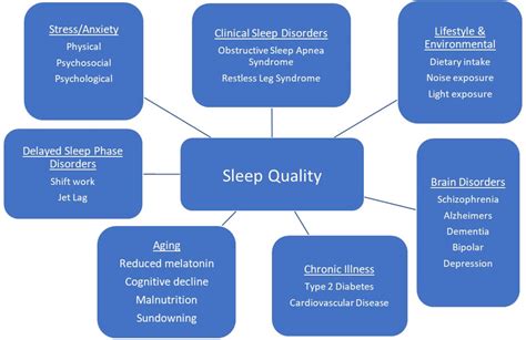 The Impact of External Factors: Investigating the Influence of Sleep Quality on Dream Content