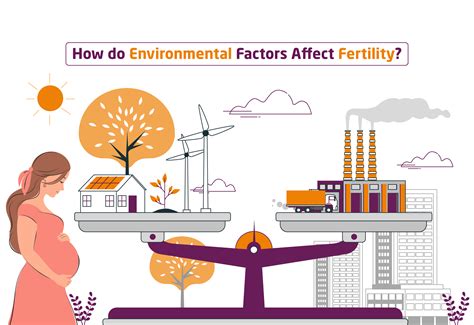 The Impact of External Factors on the Experience of Prenatal Dreams