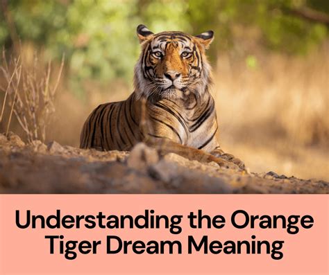 The Impact of Gender and Age on the Understanding of Tiger Dreams