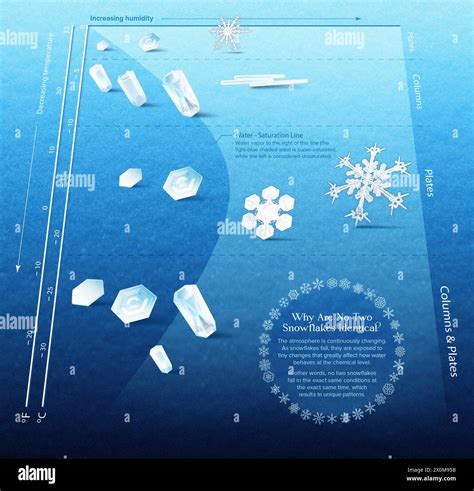 The Impact of Humidity on Snowflake Formation