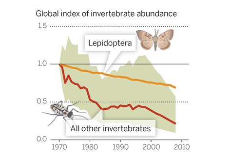 The Impact of Insect Extinction on Swallowlet Birds