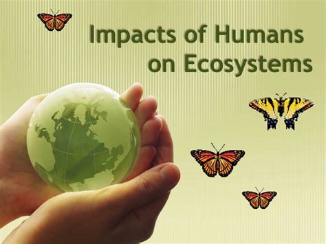 The Impact of Interactions on Ecosystems and Biodiversity