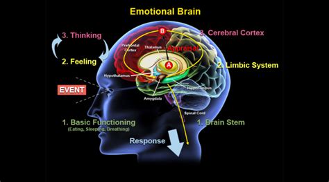 The Impact of the Dream Experience on Emotions