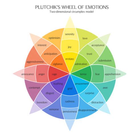 The Impact of the Vision on My Emotions