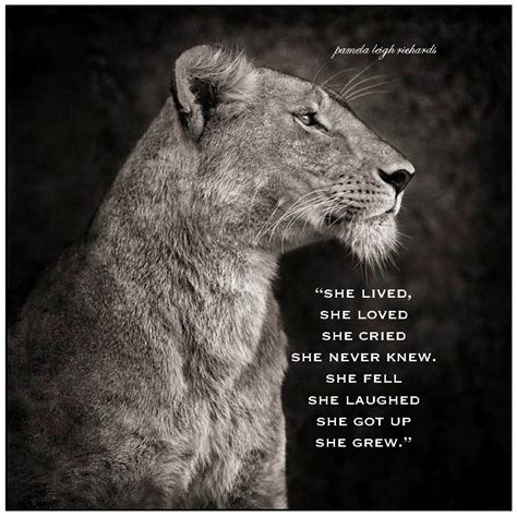 The Importance of Cultivating and Safeguarding in Reveries Related to a Lioness