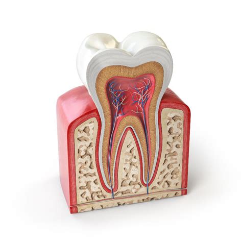 The Importance of Dreams Involving Hemorrhage from a Dental Structure