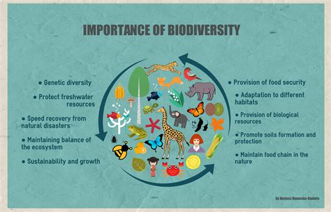 The Importance of Fish Splashing in Maintaining Ecological Balance and Preserving Ecosystem Health