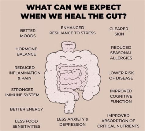 The Importance of Maintaining Optimal Gut Health for Women's Overall Well-being