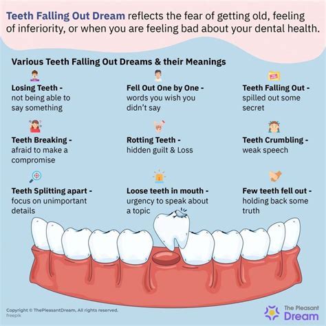 The Importance of Teeth in Dreams