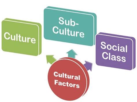 The Influence of Cultural and Social Factors