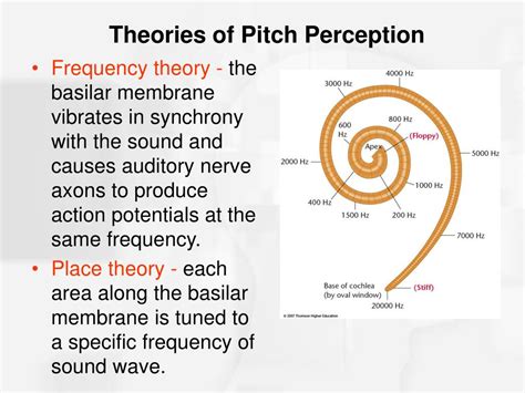 The Influence of High-Pitched Sounds on Auditory Perception and Cognitive Function
