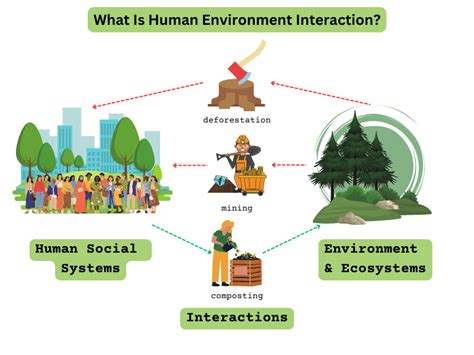 The Interactions between Humans and the Envisioning Grizzly