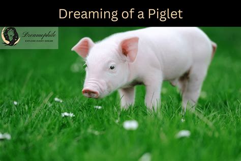 The Interpretation of Dreaming about a Piglet from a Symbolic Perspective