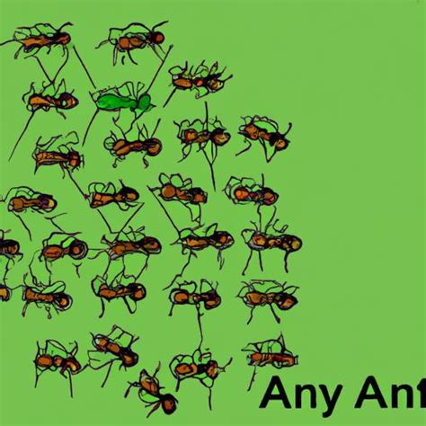 The Intricacies of Ant Hierarchy: Unraveling the Formation of Ant Societies