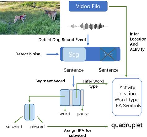 The Intricate Analysis of Canine Vocalizations in the Subconscious Mind