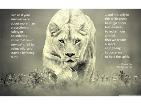 The Intricate Significance of a Lioness in the Dream World of Women