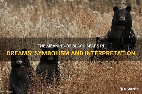 The Intricate World of Dream Interpretation: Analyzing the Presence of Bears