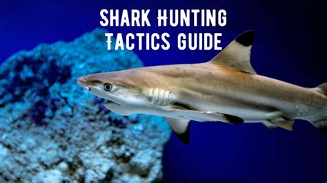 The Intriguing Hunting Tactics of Sharks