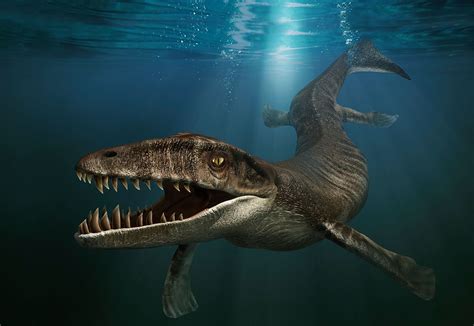 The Intriguing Nature of Prehistoric Creatures