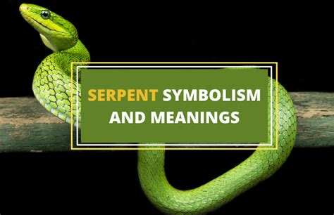 The Intriguing Symbolism of Serpents